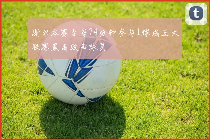 谢尔本赛季每74分钟参与1球成五大联赛最高效率球员