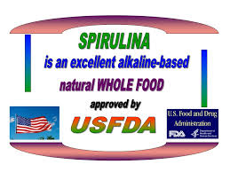 Spirulina DXN Súper Alimento De La Naturaleza (2)