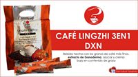 Café Lingzhi 3en1 Más Que Un Producto Un Súper Nutriente Orgánico (3)
