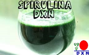 Spirulina DXN, La Microalga De Extraordinario Beneficios (4)