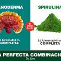 Ganoderma Lucidum y Spirulina, súper bomba nutricional