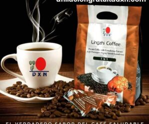 Beneficios del café Ganoderma Lingzhi 3en1 DXN