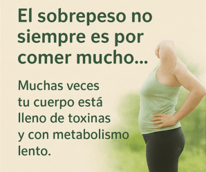 Ganoderma Lucidum y el Control Natural del Peso